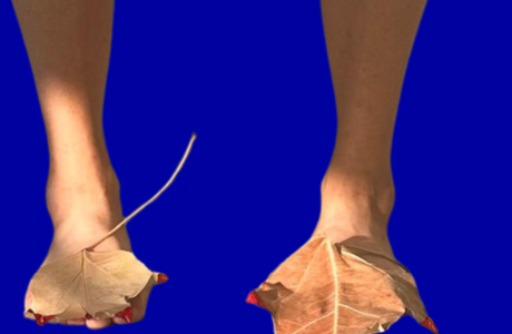 לימינלי // 6 בדצמבר