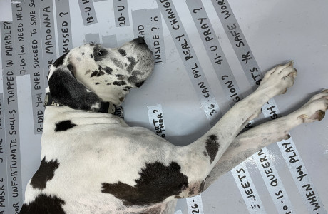 סדנת כתיבה אישית עם ג׳ייסון דנינו הולט